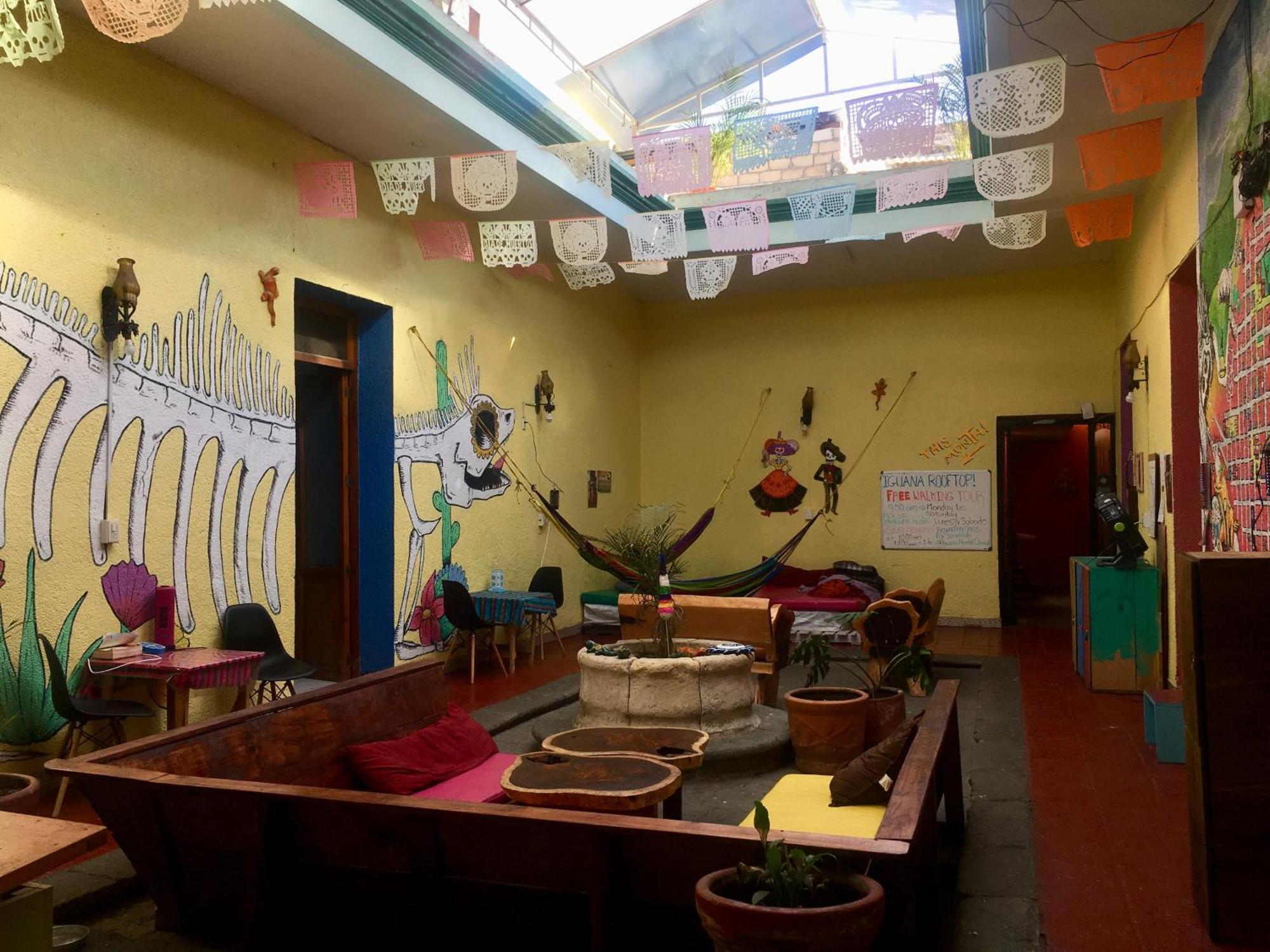 Iguana Hostel Oaxaca Eksteriør bilde