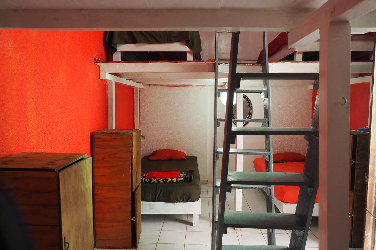 Iguana Hostel Oaxaca Eksteriør bilde